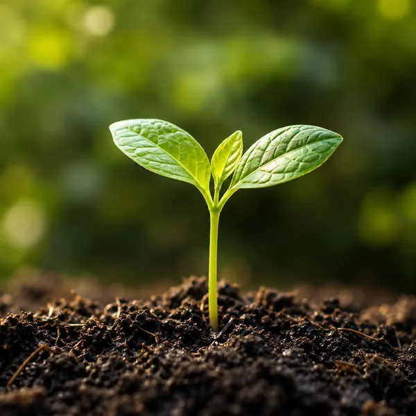 Biological Solutions
