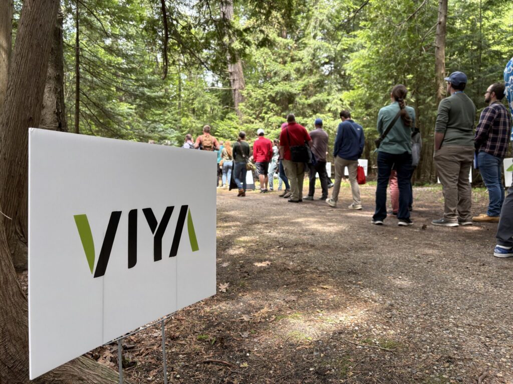 viya-event
